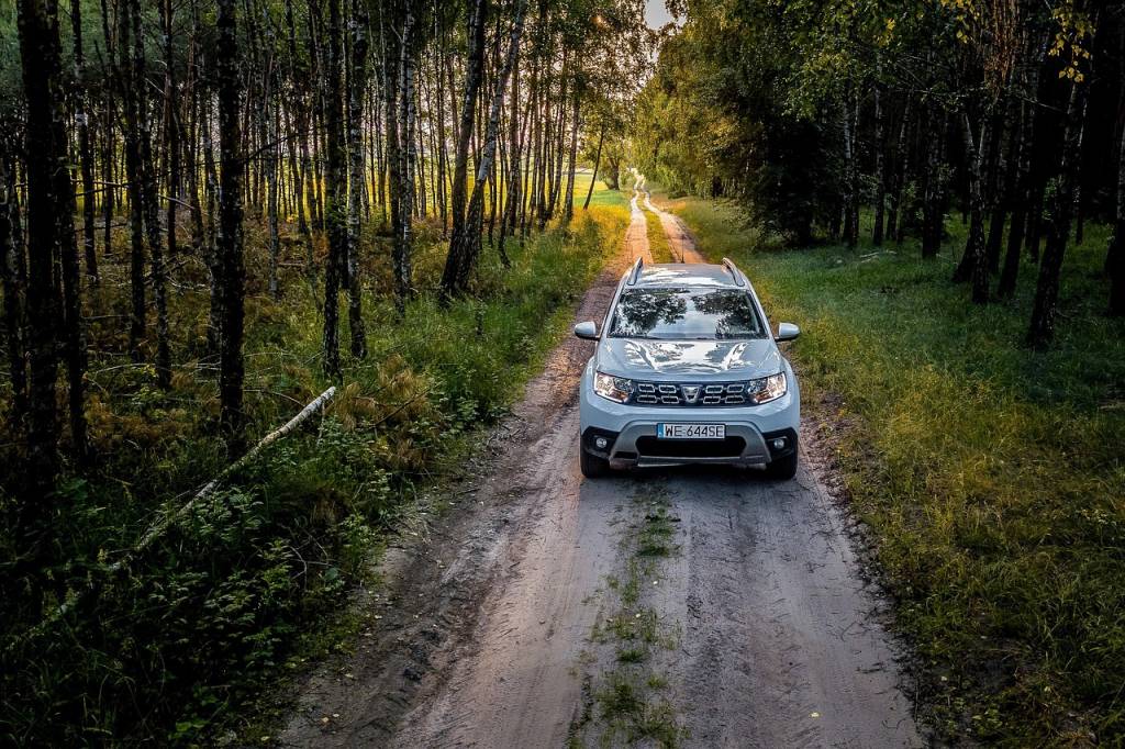 Dacia Spring terra auto: conforto e espaço no interior